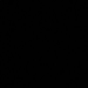 Meet your Posher, Brayan